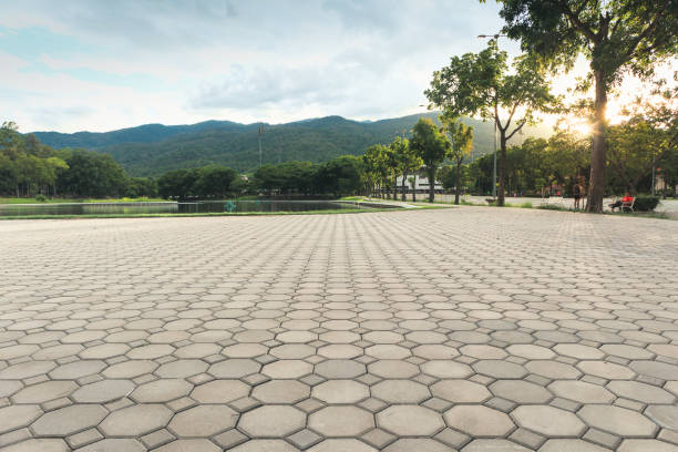 Best Driveway Pavers Near Me  in Bridgeport, NE